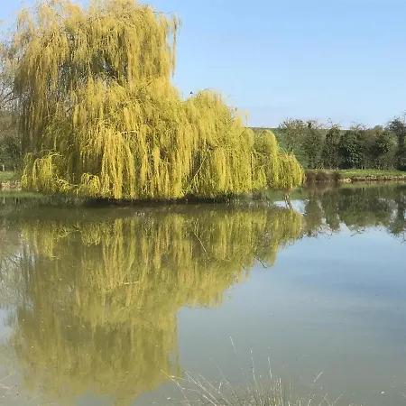 Cidrerie, Coeur De Combray Holiday home